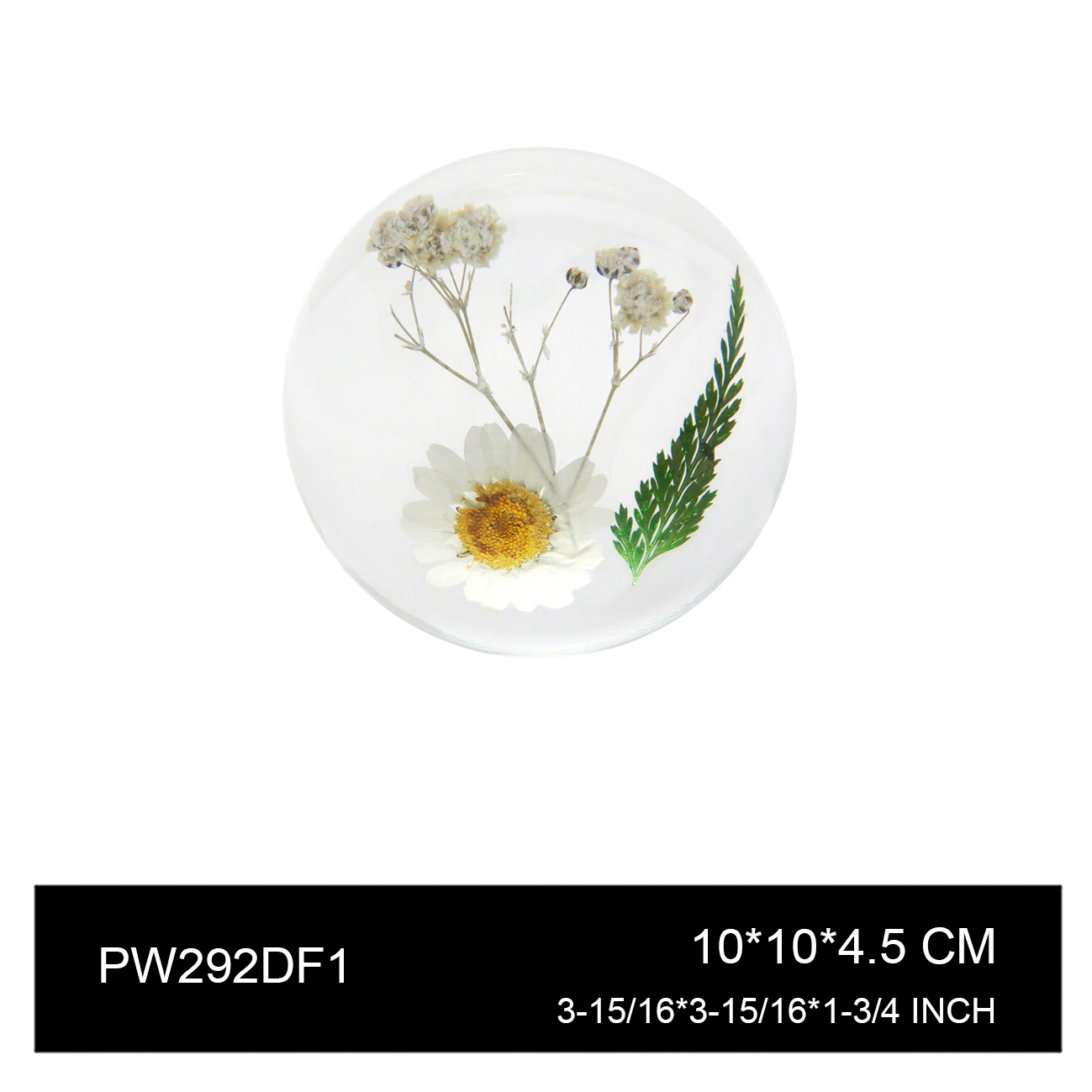 PW292DF1